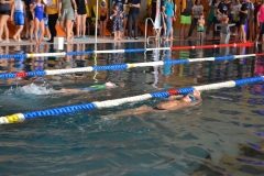 2022_11_19_Kids-Swim-Cup-Leutasch-allgemein-34